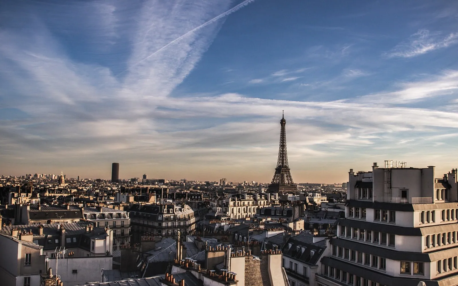 Paris, eiffel tower and roof