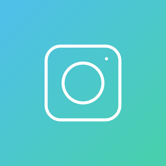 How to use watchinsta.com – the profile viewer | Camp Hostel Lifestyle